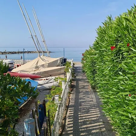 Bloom Al Mare *