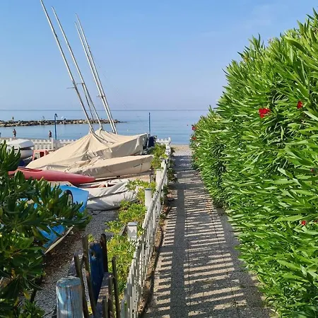 Bloom Al Mare *