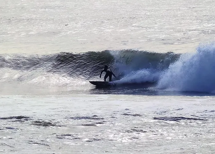 Bloom Al Mare Appartamento Ventimiglia